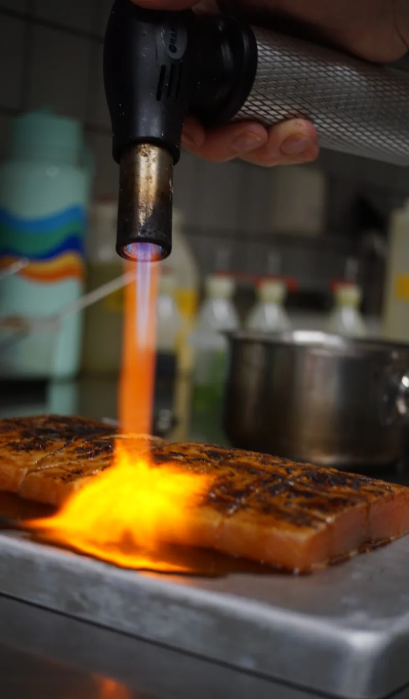 Salmon